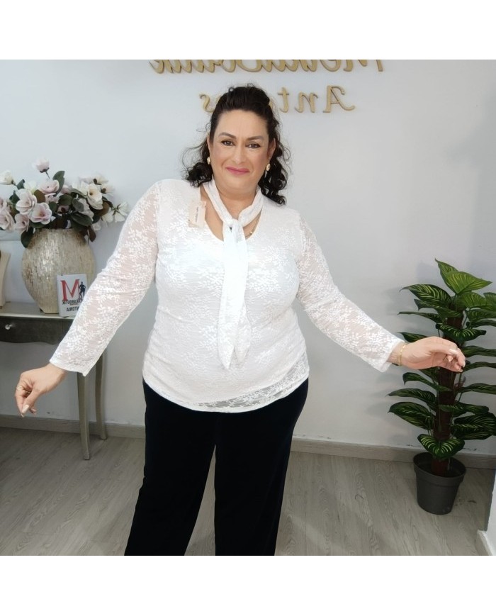 Camisa Encaje con Lazo al Cuello | Blusa Transparente Mujer | 4 Colores