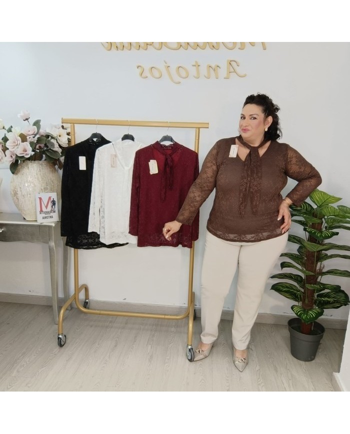 Camisa Encaje con Lazo al Cuello | Blusa Transparente Mujer | 4 Colores