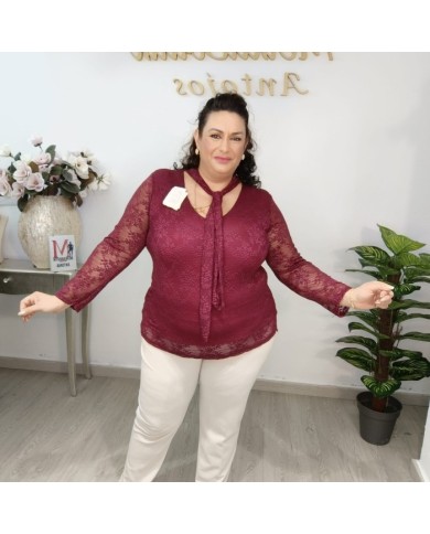 Camisa Encaje con Lazo al Cuello | Blusa Transparente Mujer | 4 Colores