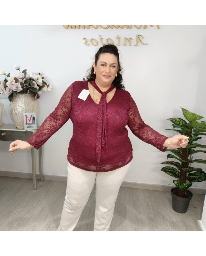 Camisa Encaje con Lazo al Cuello | Blusa Transparente Mujer | 4 Colores