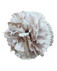 Claveles Grandes Gran Surtido en Colores | Complemento flamenco